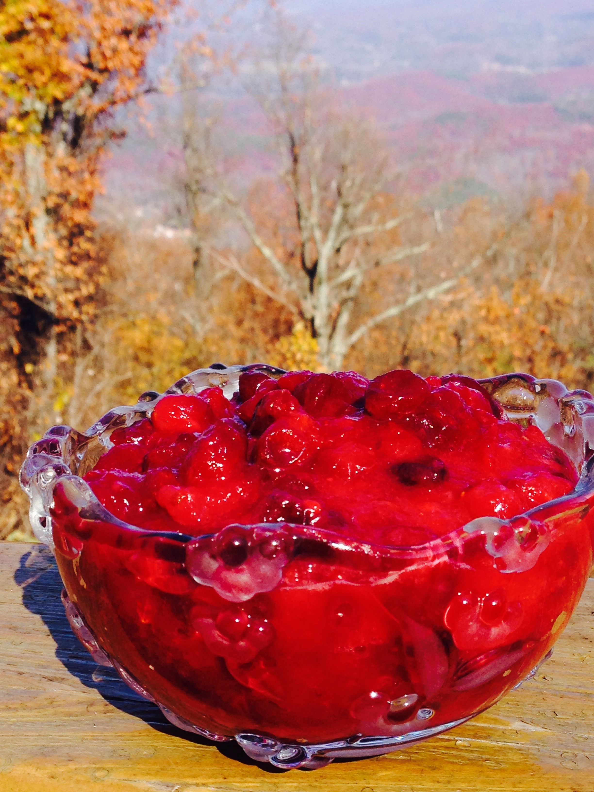 Sugar Free, Homemade, Organic Cranberries!